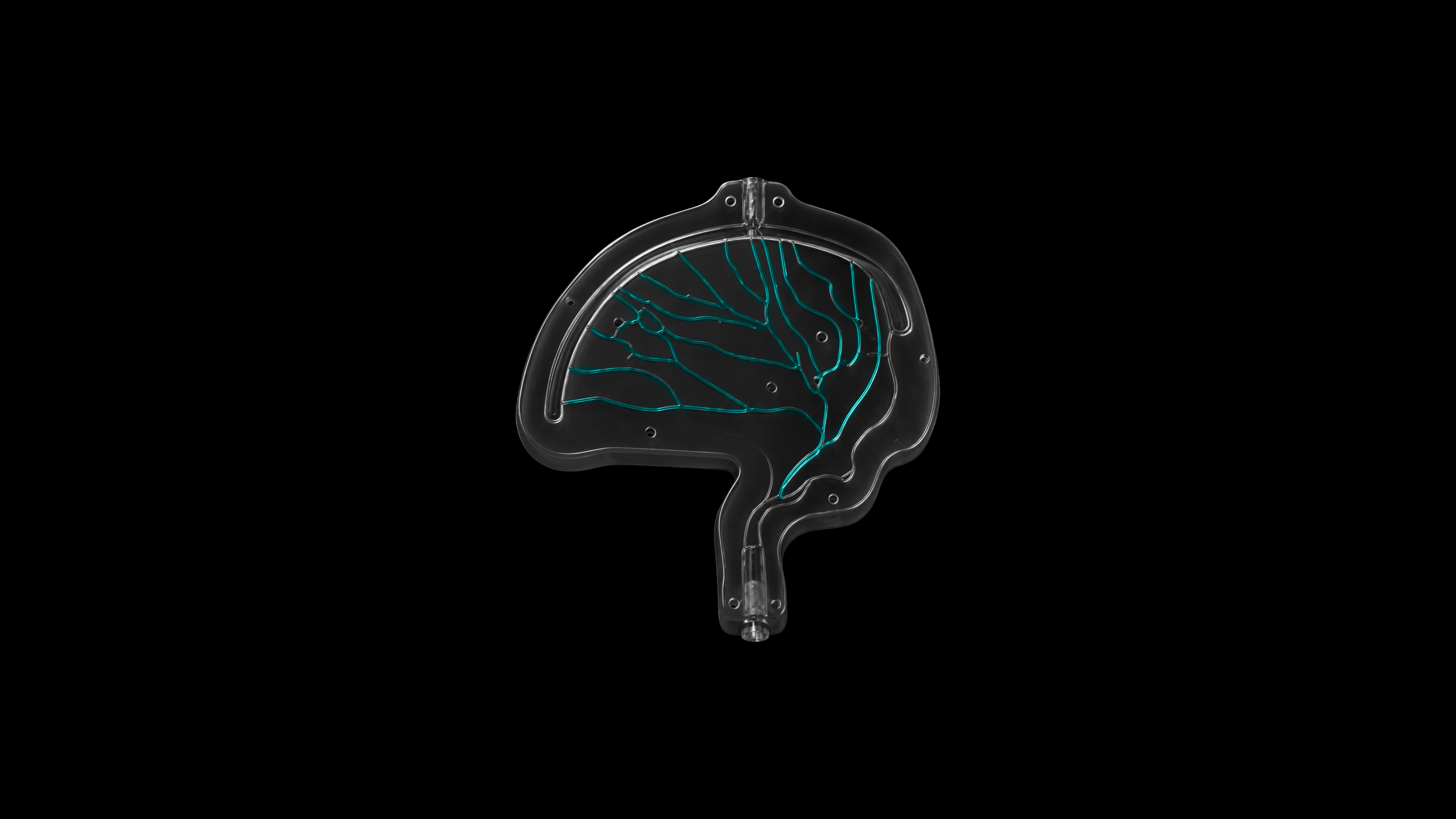 MMA embolization module with wider branch network | SurgeonsLab